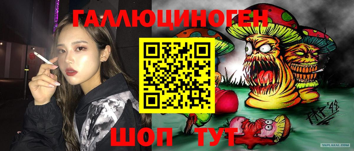 наркошоп  Вход с VPN  Псилоцибиновые грибы мухоморы  Шали  Галлюциногенные грибы Cubensis 
